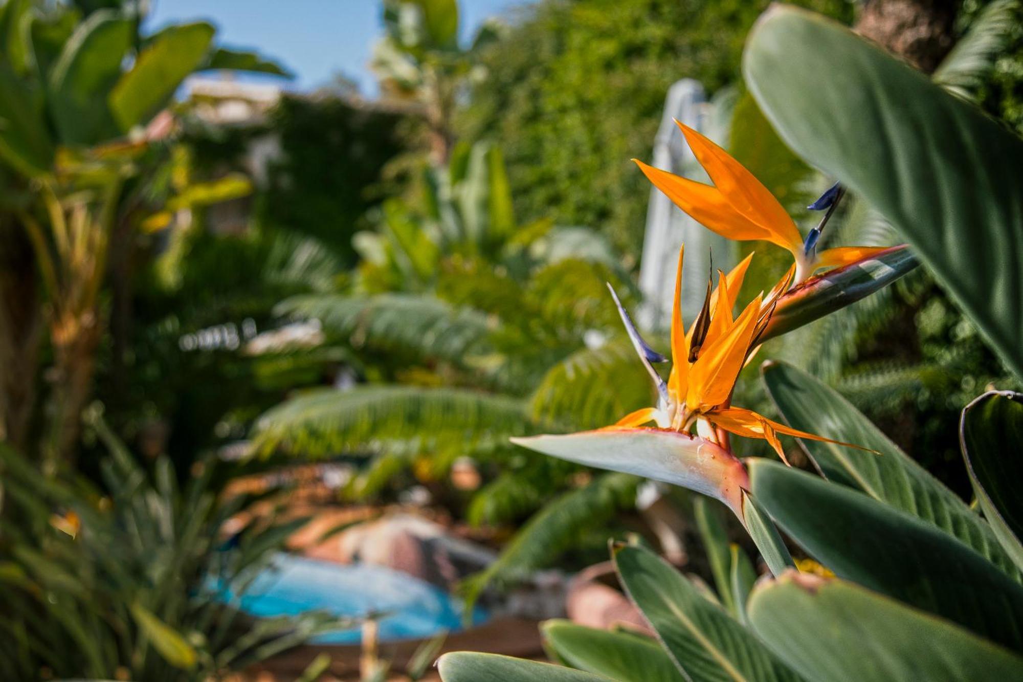 Swiss Moraira Hotel & Spa - Designed For Adults Экстерьер фото